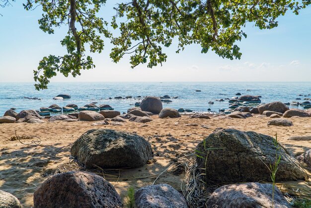 Kamienny brzeg Zatoki Fińskiej w pobliżu Zelenogradu