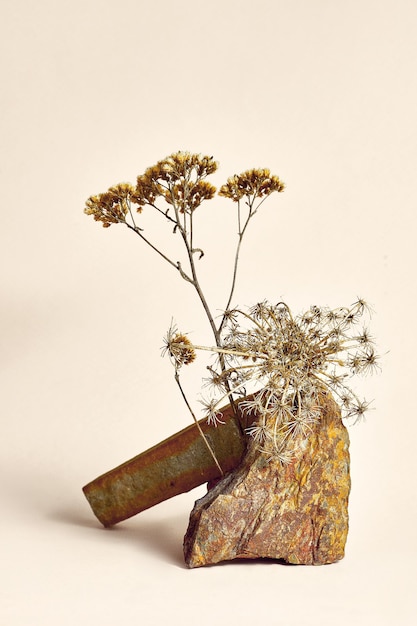 Kamienny i suchy kwiatek do ekspozycji kosmetyków. Abstrakcyjna kompozycja naturalnych tekstur z kamieniami i suchymi gałęziami na neutralnym tle. Makieta
