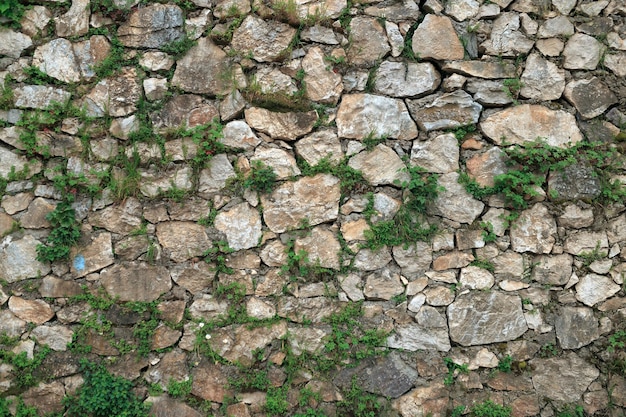 Kamienny mur porośnięty bluszczem