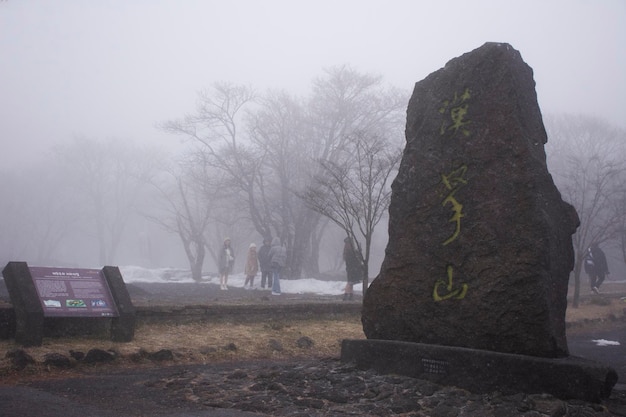 Kamienny Symbol Lub Informacja O Emblemacie Skały Wulkanu Hanla Mountain Lub Mount Halla W Leśnej Dżungli W Parku Narodowym Hallasan Dla Podróżujących Z Korei Dla Podróżujących Z Korei 17 Lutego 2023 R. W Jeju W Korei Południowej