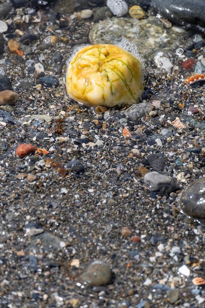 Kamyczki Na Brzegu Morza Zbliżenie Kamienista Plaża Zbliżenie Kamienie Z Bokeh Szare Naturalne Tło Jesień Na Brzegu Morza Fale I Mokre Kamyki