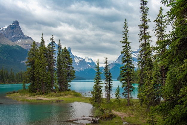 Zdjęcie kanada lasu krajobraz spirit island z dużą górą w tle, alberta, kanada.