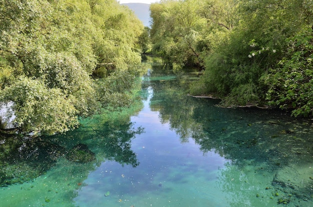 Kanał pośród drzew w Parco del Grassano