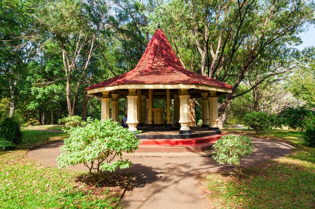 Kandy, Sri Lanka - 21 lutego 2017: Królewskie ogrody botaniczne Peradeniya położone w pobliżu miasta Kandy, Sri Lanka. Królewskie Ogrody Botaniczne Peradeniya to największy z ogrodów botanicznych Sri Lanki.