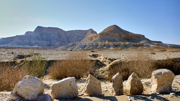 Kanion Ein Avdat na pustyni Negev. Izrael.