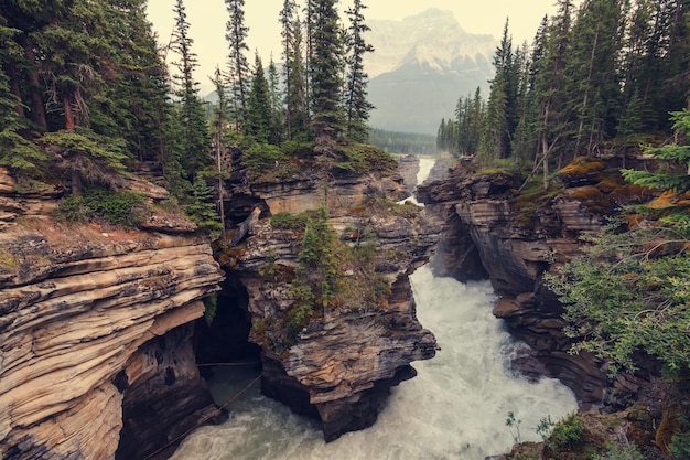 Kanion Johnston w Banff NP, Kanada