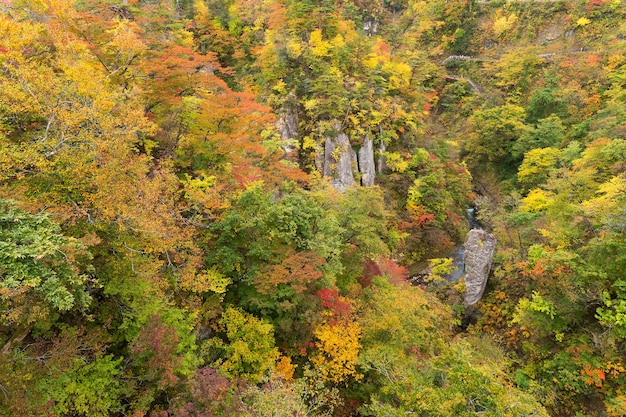 Kanion Naruko w sezonie jesiennym