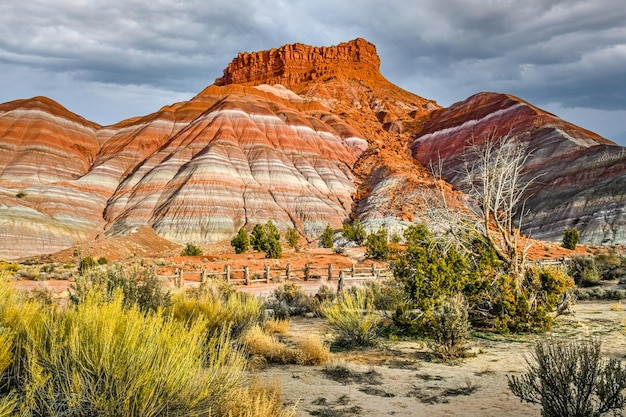 Zdjęcie kanion rzeki paria w pobliżu kanab utah