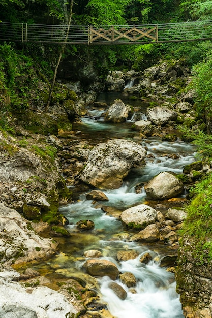 Kanion rzeki Tolmin Gorge w Słowenii Drewniany most wiszący w dolinie Soca