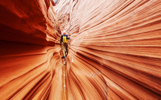 Kanion Slotowy W Parku Narodowym Grand Staircase Escalante, Utah, Usa. Niezwykłe Kolorowe Formacje Z Piaskowca Na Pustyniach Utah Są Popularnym Celem Pieszych Wędrówek.