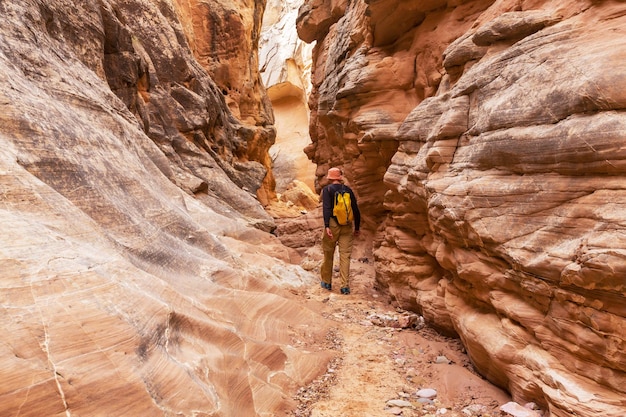 Kanion slotowy w parku narodowym Grand Staircase Escalante, Utah, USA. Niezwykłe kolorowe formacje z piaskowca na pustyniach Utah są popularnym celem pieszych wędrówek.