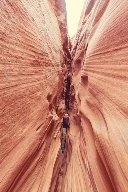 Kanion Szczelinowy W Parku Narodowym Grand Staircase Escalante, Utah, Usa. Niezwykłe Kolorowe Formacje Z Piaskowca Na Pustyniach Utah Są Popularnym Celem Wycieczek Pieszych.