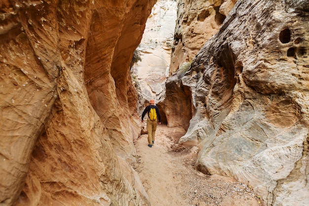 Kanion Szczelinowy W Parku Narodowym Grand Staircase Escalante, Utah, Usa. Niezwykłe Kolorowe Formacje Z Piaskowca Na Pustyniach Utah.