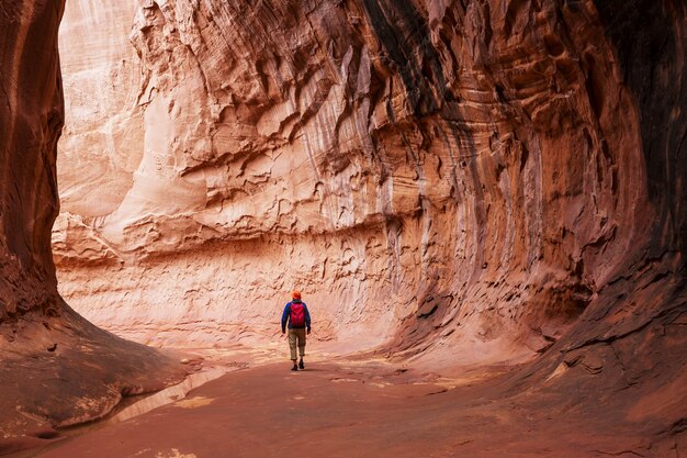 Kanion szczelinowy w Parku Narodowym Grand Staircase Escalante, Utah, USA.