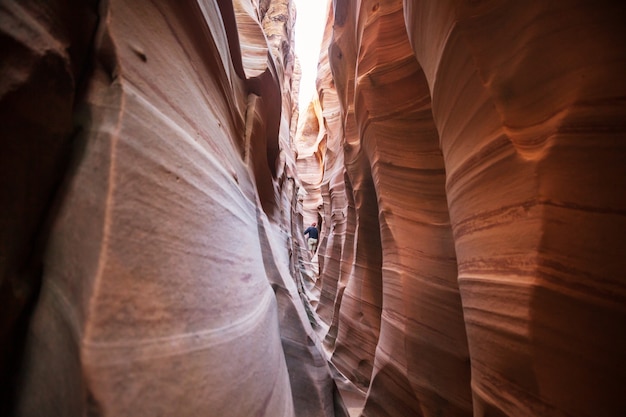 Kanion szczelinowy w Parku Narodowym Grand Staircase Escalante, Utah, USA.