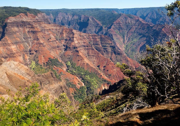 Kanion Waimea na Kauai