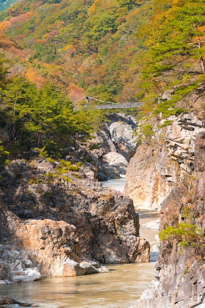Kanion wąwozu Ryuyo w Nikko w Japonii