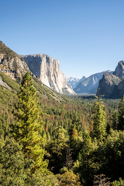 Zdjęcie kapitan yosemite