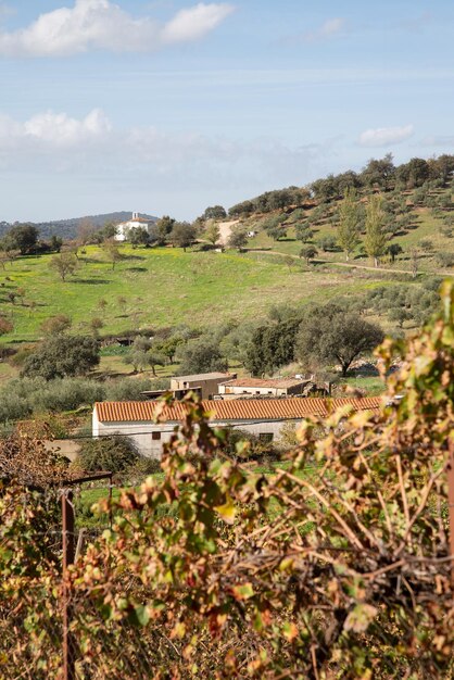 Kaplica i wzgórza poza Berzocana, Caceres, Hiszpania