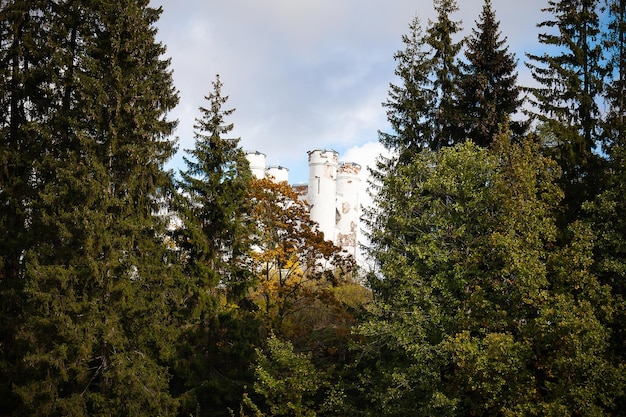 Zdjęcie kaplica ludwigsburg na wyspie ludwigstein za drzewami iglastymi park publiczny mon repos w wyborgu