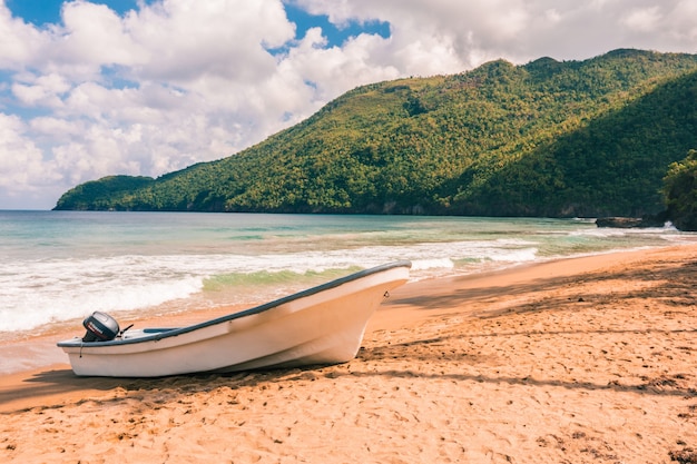 Karaibska plaża z palmami i falami