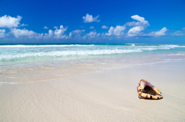 karaibska plaża
