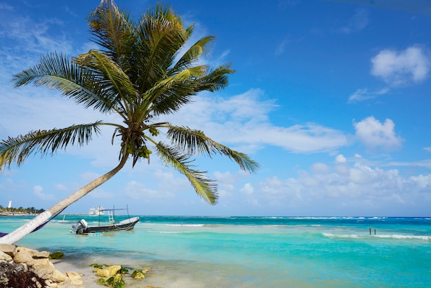 Karaiby Mahahual plaży w Costa Maya