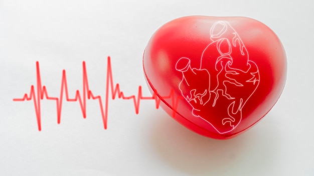 Kardiologia Koncepcja zdrowego serca Bicie serca