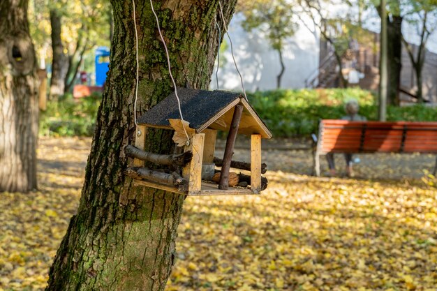 Karmnik dla ptaków i wiewiórek wiszący na drzewie w parku