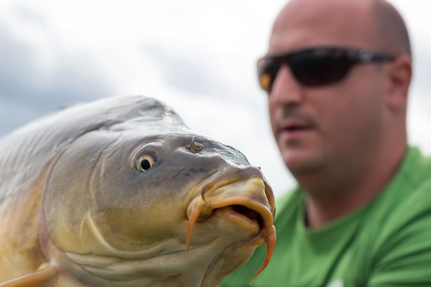 Karp I Rybak, Trofeum Karpiowe