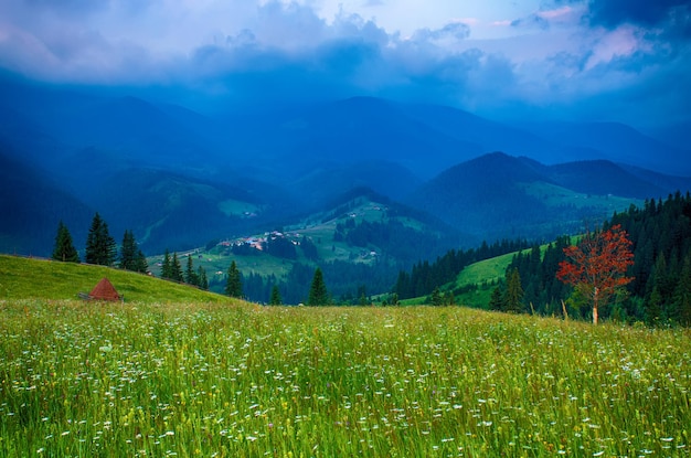 Karpaty letni krajobraz, vintage hipster naturalne tło