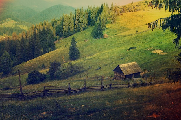 Karpaty letni krajobraz z zielonymi wzgórzami i drewnianym domem vintage hipster niesamowite tło