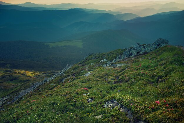 Karpaty letni krajobraz zachód słońca, naturalne tło podróży