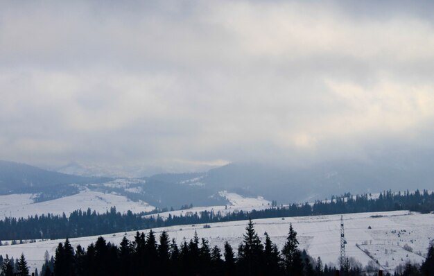 Karpaty na Ukrainie. Zimowy krajobraz