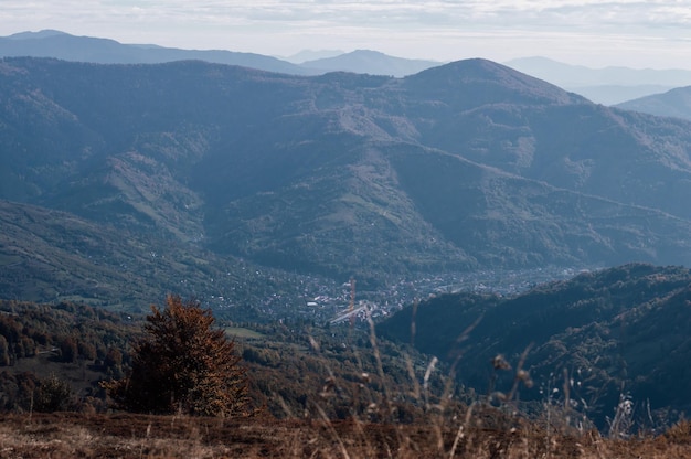 Zdjęcie karpaty rachów