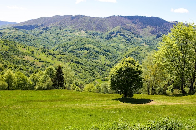 Karpaty Świat piękna