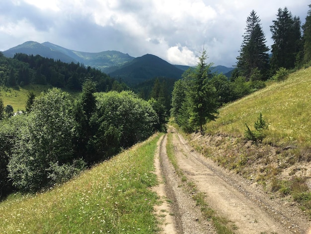 Karpaty to malownicze miejsce w górach na Ukrainie