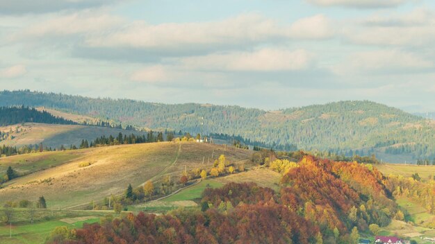 Karpaty Ukraina Jesienny krajobraz z mgłą w górach Jodłowy las na wzgórzach Samotna choinka na łące Europa Shipit Carpathians National Park