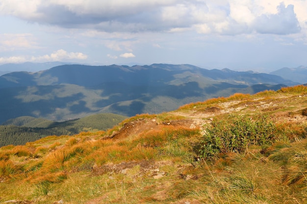 Karpaty Ukraina Piękny widok na górski krajobraz w letni dzień