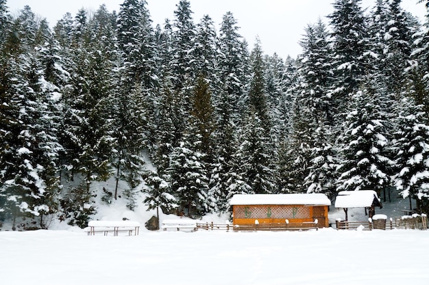 Karpaty Ukraiński dom z drewna iglastego