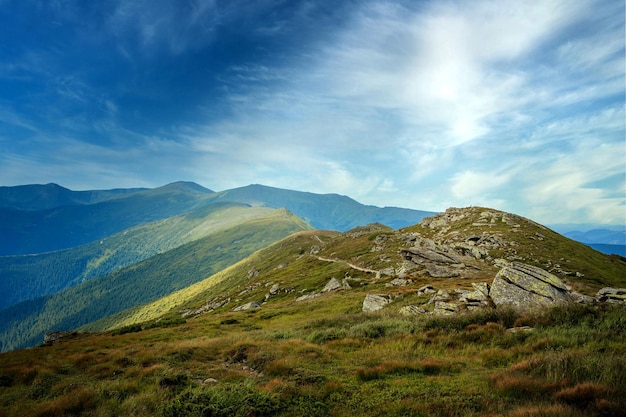 Karpaty w letni poranek Piękno dzikiej dziewicy ukraińskiej przyrody Spokój