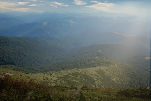 Karpaty w letni poranek Piękno dzikiej dziewicy ukraińskiej przyrody Spokój