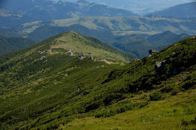 Karpaty w letni poranek. Piękno dzikiej, dziewiczej ukraińskiej przyrody. Spokój.