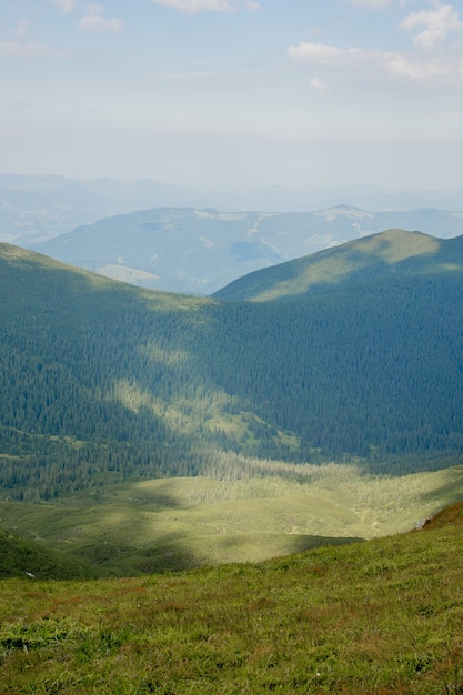 Karpaty w letni poranek