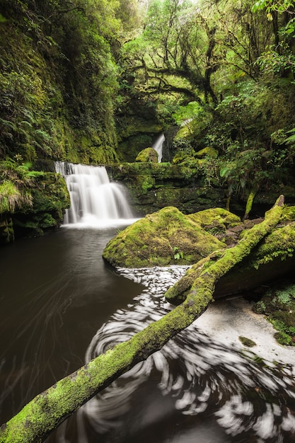 Kaskada rzeki Tautuku Catlins Southland Nowa Zelandia