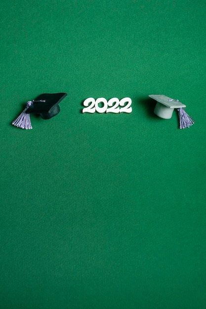 Kasztana i numery 2022 na zielonym tle, z bliska z miejsca na kopię. Koncepcja edukacji medycznej. Format pionowy