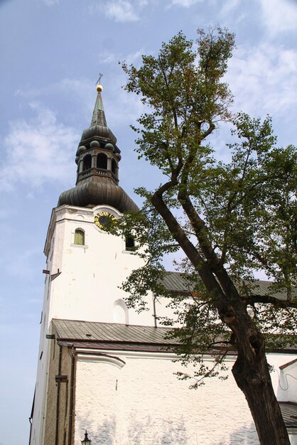 Katedra Najświętszej Marii Panny Toomkirik w starym Tallinie