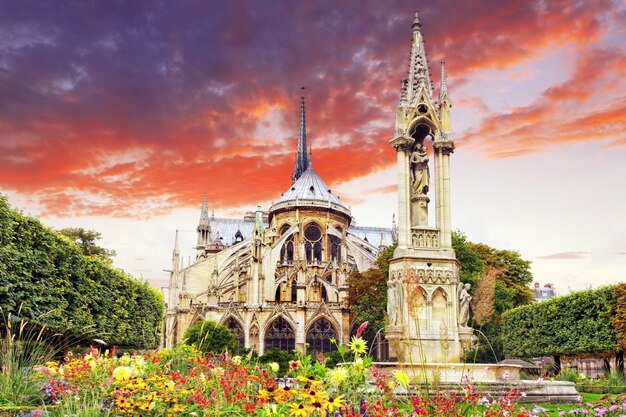 Katedra Notre Dame De Paris, Ogród Z Kwiatami.paryż. Francja.