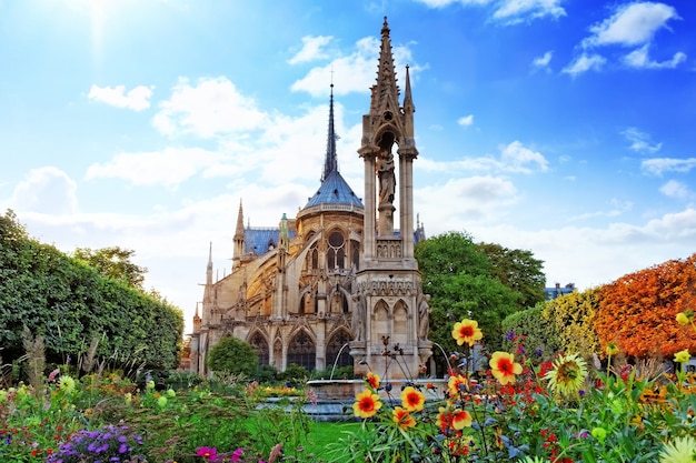 Katedra Notre Dame de Paris, ogród z kwiatami.Paryż. Francja.