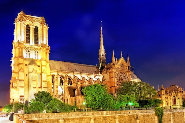 Katedra Notre Dame de Paris.Paryż. Francja.